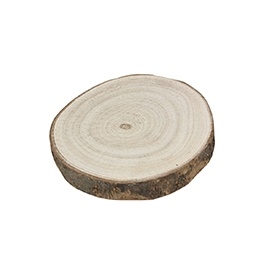 Houten boomschijf met schors SL11701 onderzetter circa 10cm