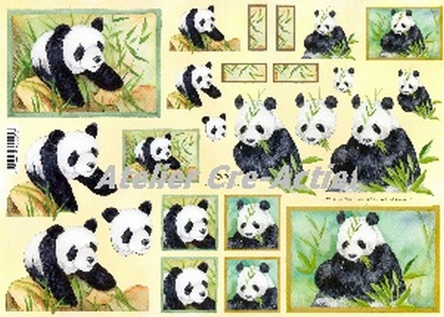 Quincy 3D knipvel Panda Beren