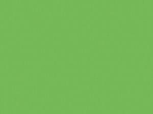 WACO 9241-046 Porseleinverf stift donker Groen