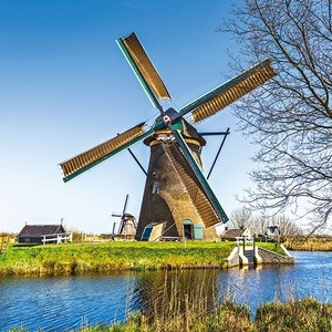 Servetten Ambiente 5 stuks 1331/0180 Nederlandse windmolen