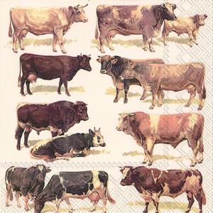 Ihr servet L 601500 (5x) Cows / Koeien