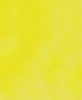 Tri-chem glasverf Jewel Lite 5833 Mellow Yellow