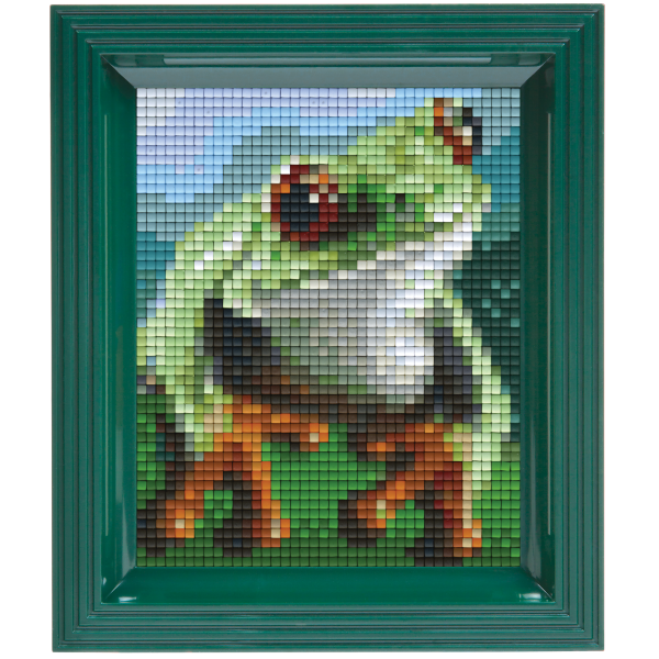xPixelhobby classic pakket 31452 Kikker-Frog