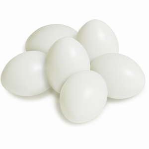 Meyco 45020 Kunststof eieren Wit 6x4,5cm / set van 10 stuks