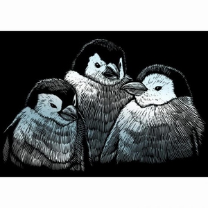 R&L Krasfolie pakket SILMIN250 mini Baby Pinguins (zilver)