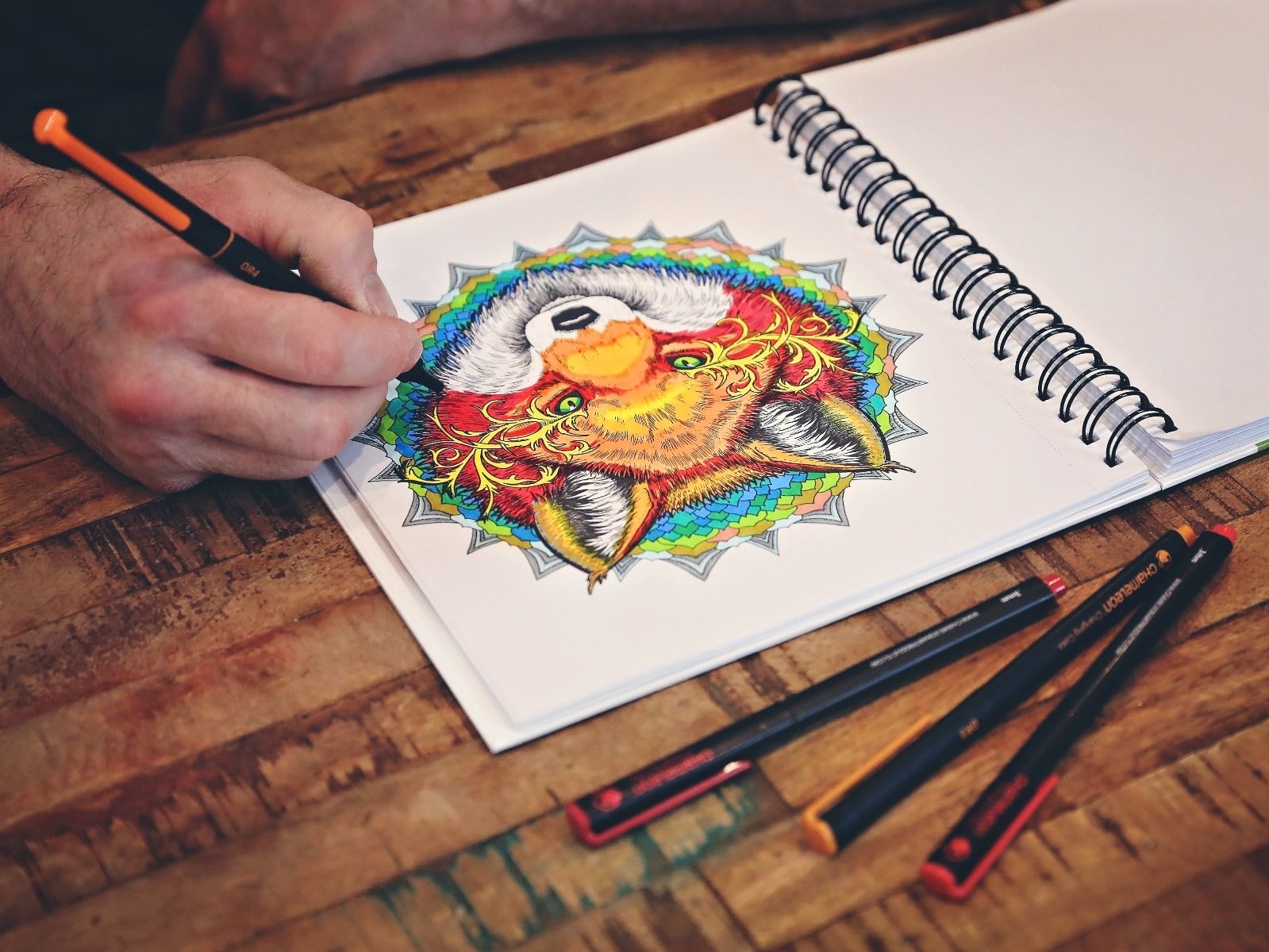 Chameleon FL0602 Fineliners (waterbasis) set Nature colors