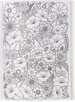 Kleurboek BB1072/022011 Flowers & Butterflies colouring book