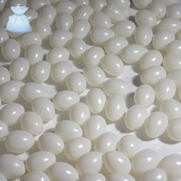versneller vonnis Caius Plastic eieren wit en gekleurd