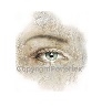 Laserprint A4 / A3 en silk paper