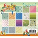 Paper Packs background & Paper elements
